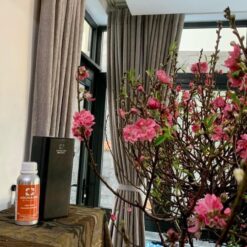 Máy làm thơm A500 Aroma360 - tại khách sạn